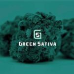 Green Sativa