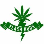 Flash Buds