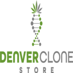 Denver Clone Store North