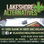 Lakeshore Alternatives