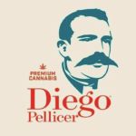 Diego Pellicer Alameda