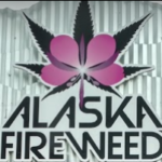 Alaska Fireweed