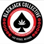 Blackjack Collective