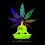 Natural Cannabis Company