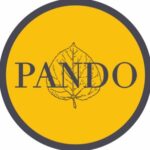 Pando