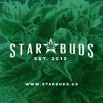 Starbuds