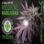 Green Meadows Dispensary LLC