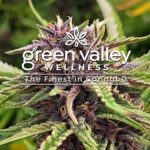 Green Valley Wellness