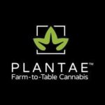 Plantae Health