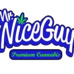 Mr Nice Guy 504