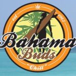 Bahama Buds