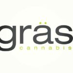 Gräs Cannabis