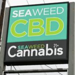 Seaweed Cbd