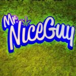 Mr Nice Guy Portland