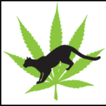 Cougar Cannabis