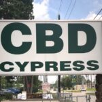 Cbd Cypress