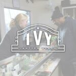 Ivy Cannabis