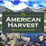 American Harvest